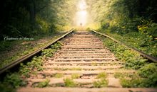 人生的旅程_300字