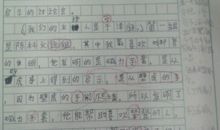 关于大自然的作文：大自然就在这儿作文_1000字