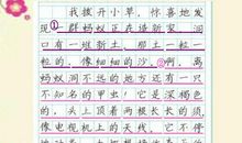 我的新发现_250字