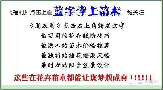 大自然感动（1）_600字