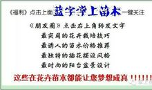 来自大自然的感动（1）_600字