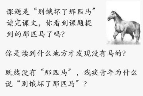 关于马的成分：阅读_800字后，“不要饿死那匹马”