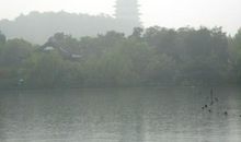 关于大自然的作文：雨中游西湖_750字