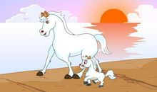 关于马的作文：老马的故事_600字