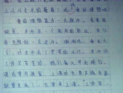 六年级辩论论文：我的理想_450字