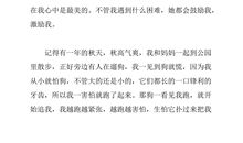 关于母爱的作文：为母爱打开一扇窗_800字