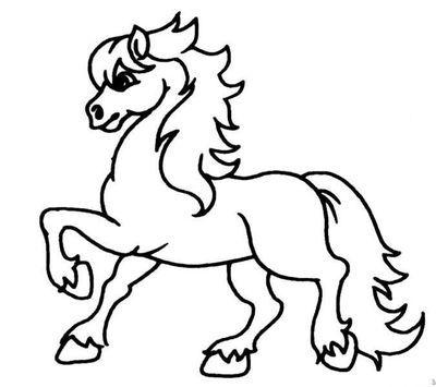 关于马的成分：horse_700个单词
