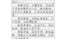 2020年广东深圳中考语文作文题目：见证美好