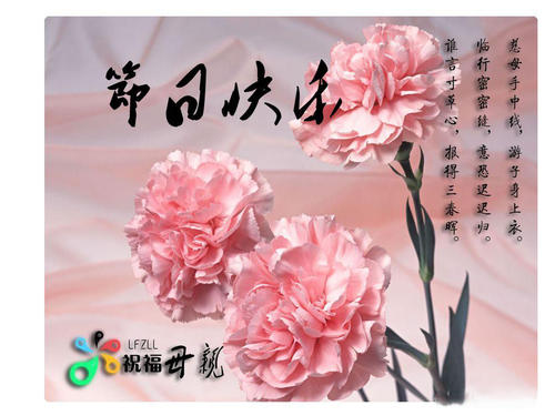 母爱让我久久不忘_700字