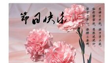 母爱使我久久不能忘怀_700字