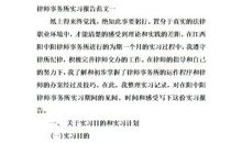 税务事务所实习报告