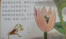 快乐的夏天_900字