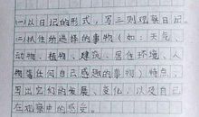 三年级写人作文：我的姐姐（五）_200字