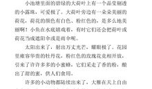 夏天的早晨3_300字