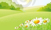 校园夏天的早晨_750字