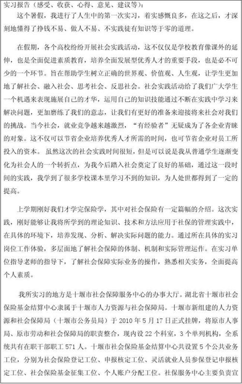 我的暑期实习报告