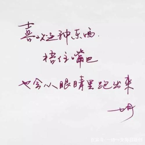他的背影（700字）