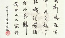 选择_50字