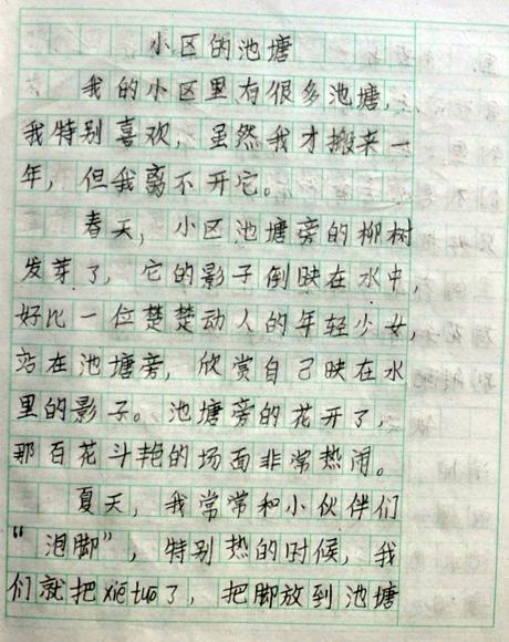三年级想像力作文：柠檬树的成长_400字