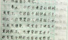 三年级想象作文：柠檬树成长记_400字