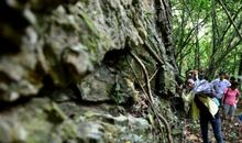 关于探险的作文：热带雨林探险_700字