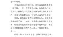 寒假趣事：寒假趣事_750字