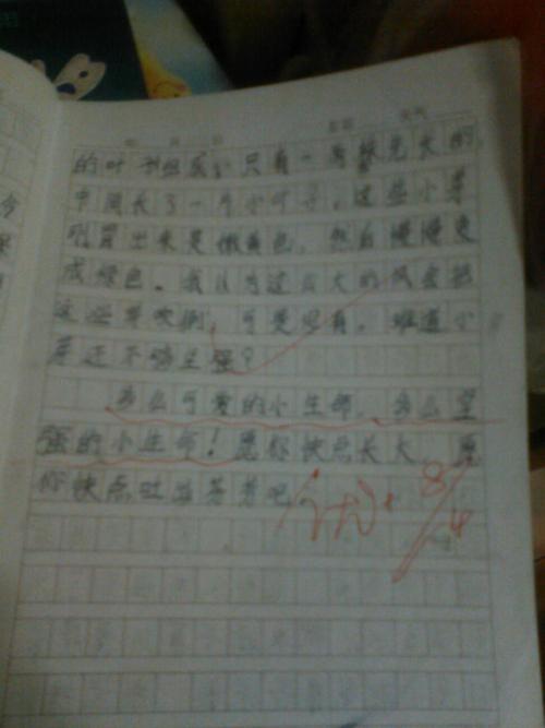 三年级写作作文：我的兄弟（2）_450字