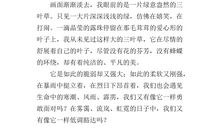 六年级话题作文：带上自信上路_700字