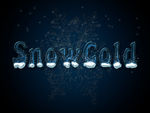 Snowflake_350个单词