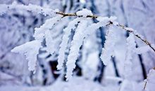 关于雪的作文：雪花的自述_700字