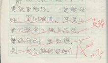 关于雪的作文：雪花在落_1500字