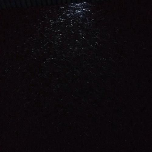夜雪_800字