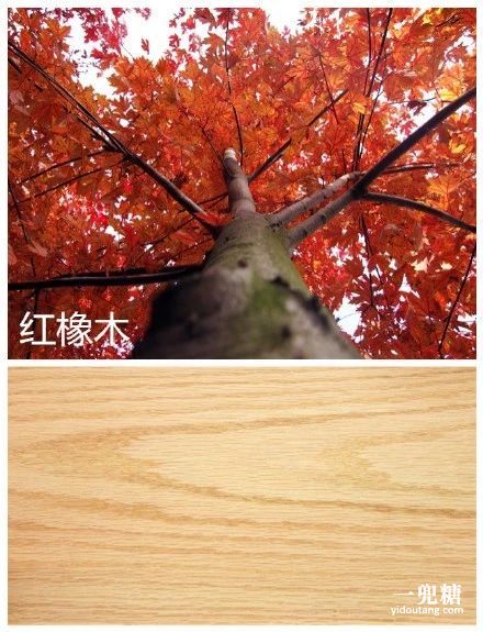 五月征文：亲爱的妈妈_1200字