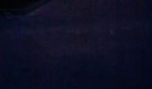 静寞·留伤_350字