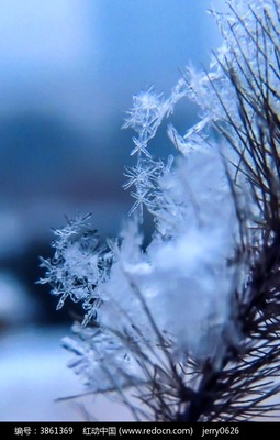 关于雪的组成：降雪的季节_1500个单词