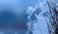 关于雪的作文：雪花飘落的季节_1500字