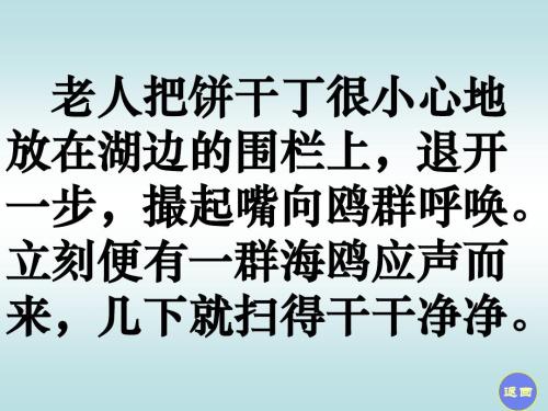《老人与海鸥》续_400字