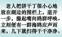 《老人与海鸥》续写_400字