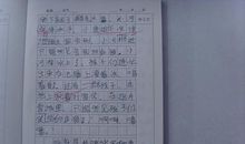 骗子的自述_700字