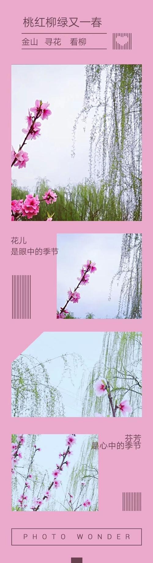 另请参见窗外的春天绿色时间_800字