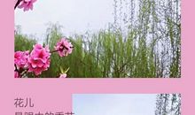 又见窗外春绿时_800字