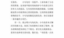 四年级写景作文：午后雷阵雨_550字