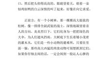 四年级写景作文：家乡的小溪_300字