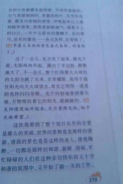 关于雾的成分：山中雾_900字