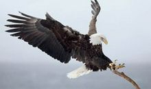 感人的10个经典教育故事之赞美是暗室中的一只蜡烛