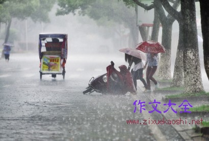 爱在雨中700字