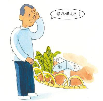 告诉你我的记忆力（2000字）