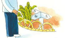 把我的记忆告诉您_2000字