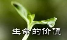 生命的价值