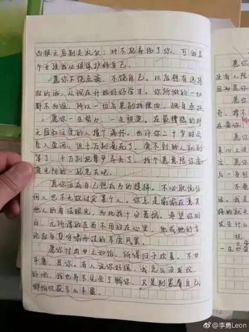 将来给自己的一封信_1000个单词